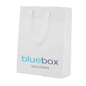 SAC SHOPPING PAPIER KRAFT ECO MINI